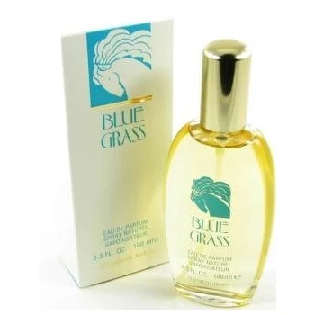 Elizabeth Arden Blue Grass 100ml EDP Women's Perfume